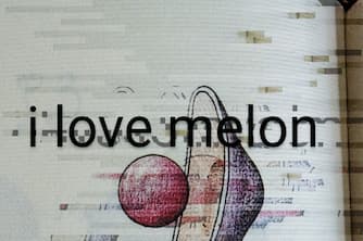 meLON